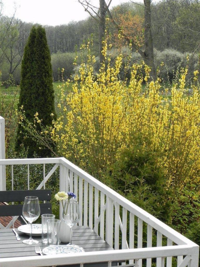 Ferienwohnung-Nils-Holgerson-Mit-Balkon-Zwischen-Strand-Wald-Wiese-Im-Suedosten-Der-Insel-Ruegen Gustow  Exterior foto